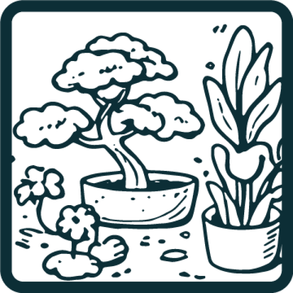 Tree & Plant’s