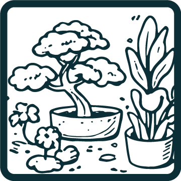 Tree & Plant’s